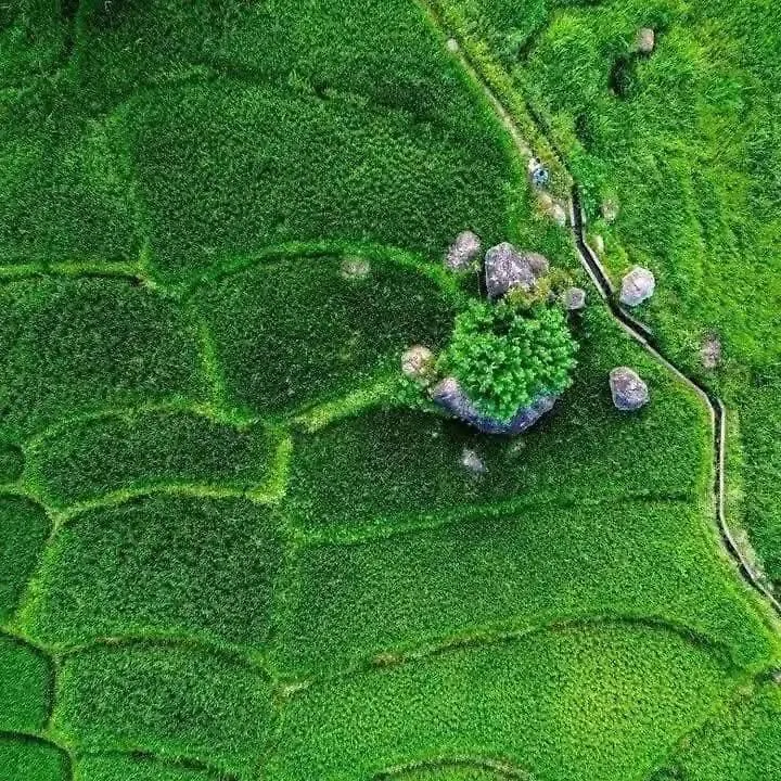 Green Resort Katugastota 0*,
